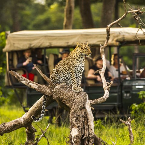 Grand Safari Kenya